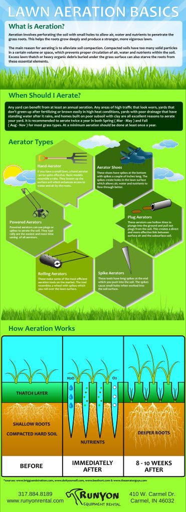 How to make the lawn green