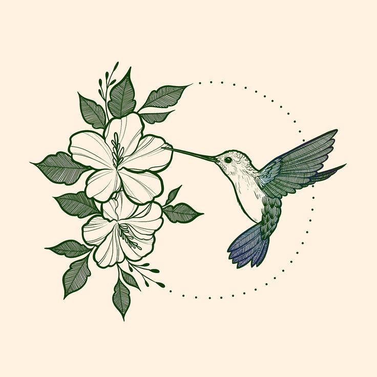 Plants to draw hummingbirds