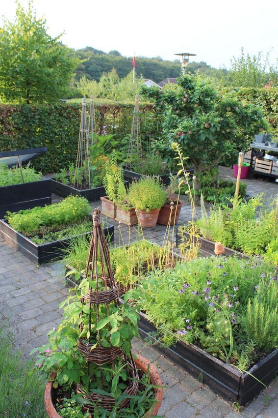 Garden screening ideas