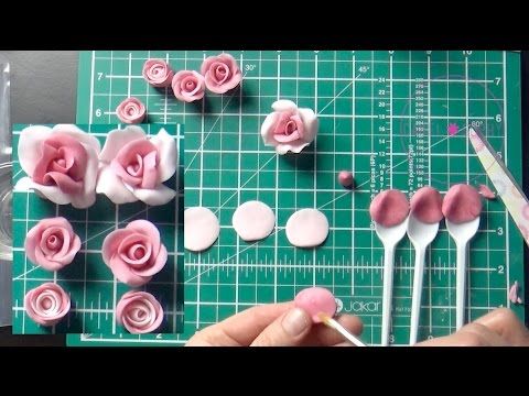 How to make rose cuttings