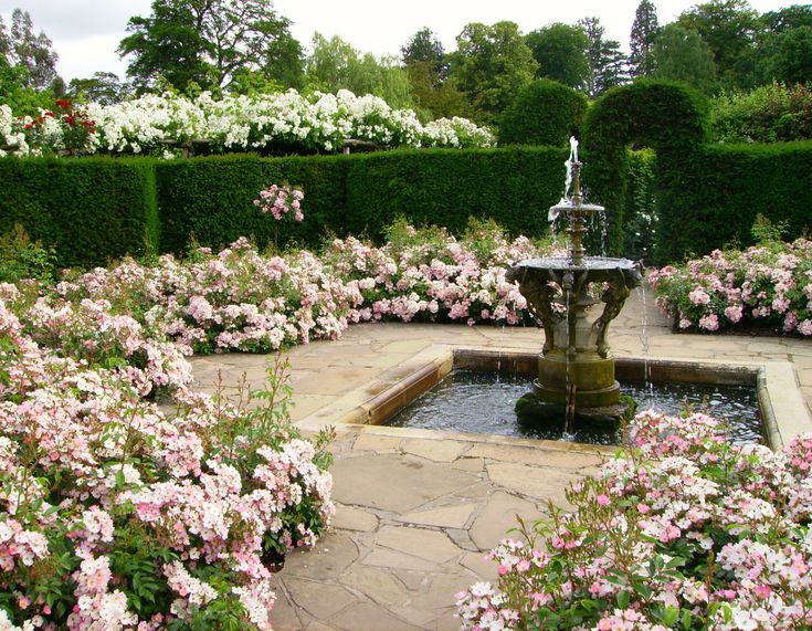 Rose garden landscape