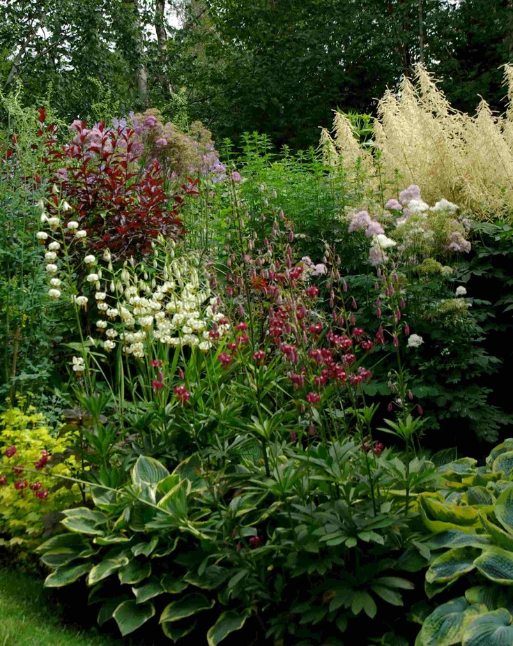 Perennials that stay green all year