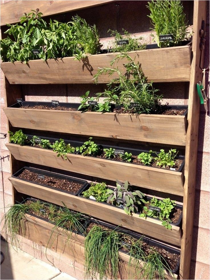 Herb garden in planters