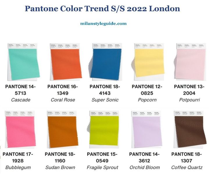 Popular decorating colors 2023