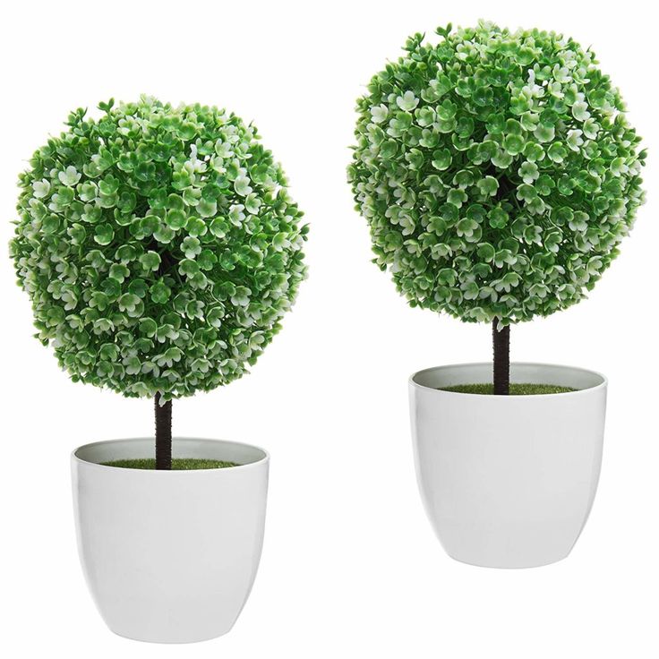 Planters with trees