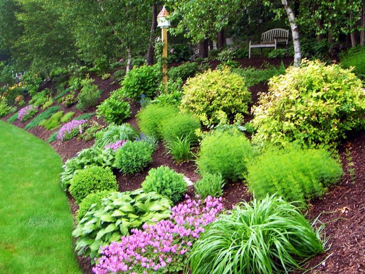 Landscaping for steep backyard