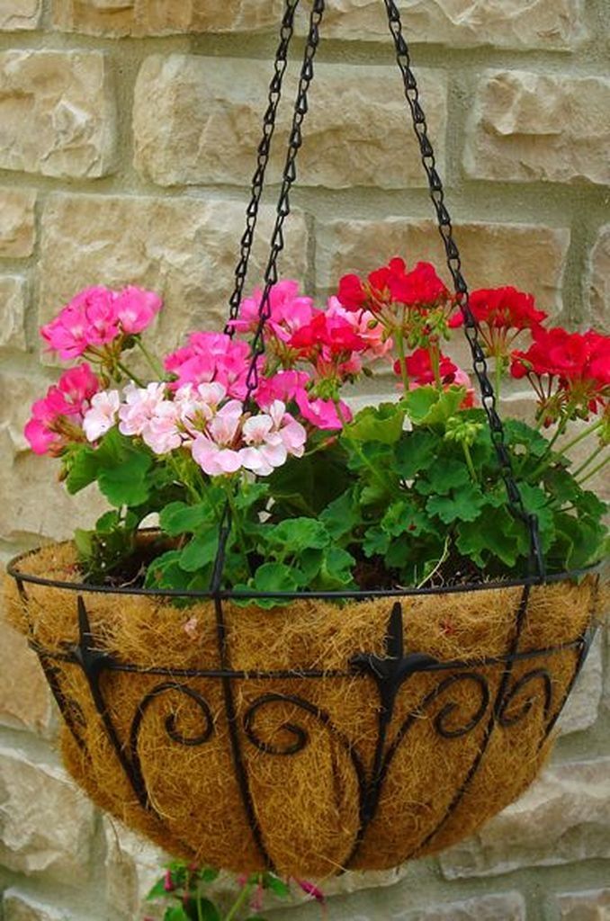 Hanging flower baskets ideas