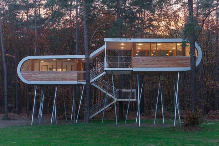 Tree house modern