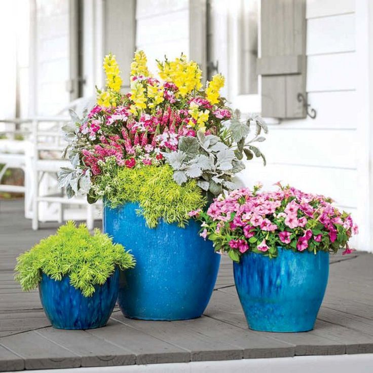 Container planting design