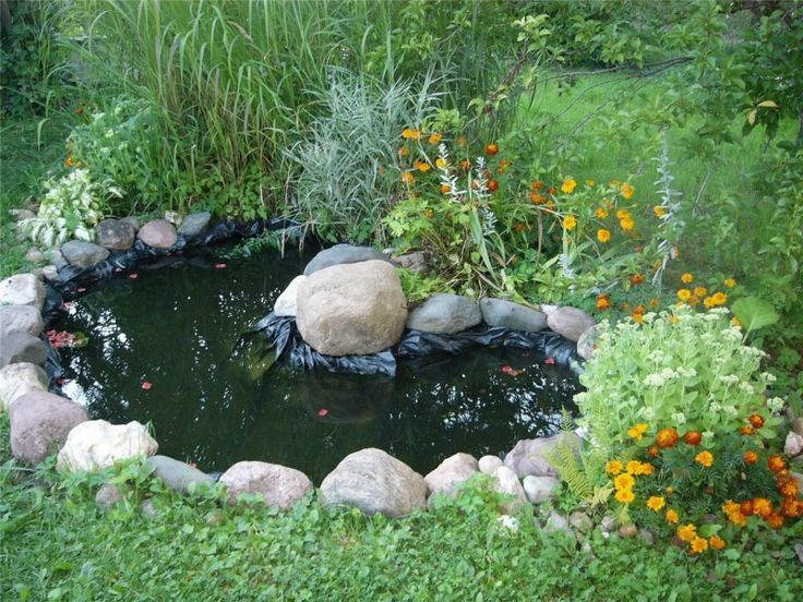 Create a pond