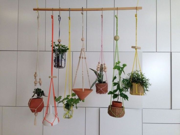 Hanging plant for fall