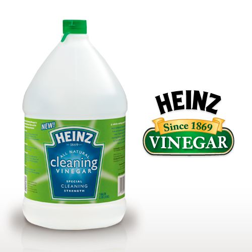 What can vinegar clean