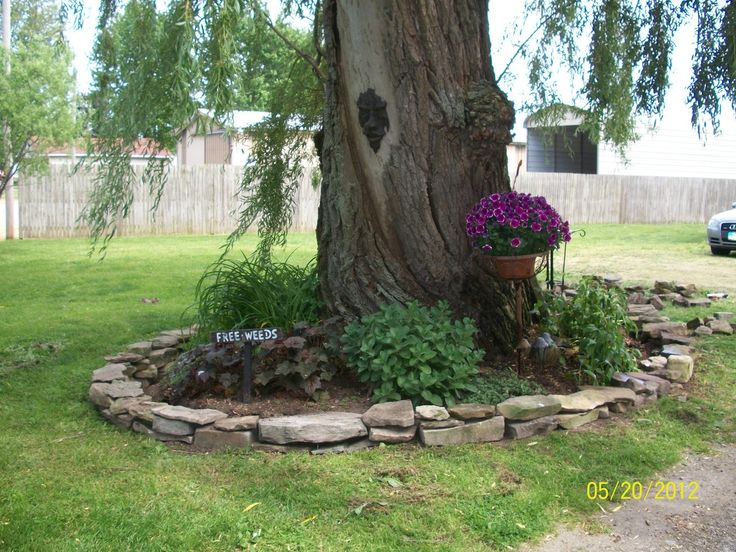 Landscape rocks around trees