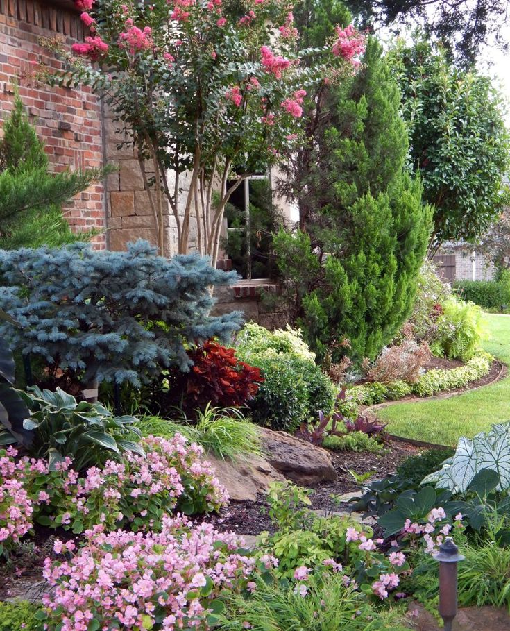 Planting ideas for front gardens