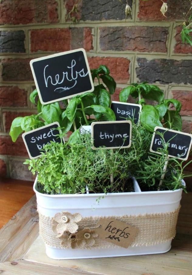 Unique herb garden ideas