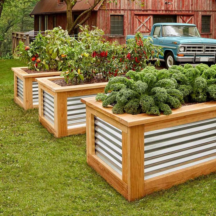 Pool planters ideas