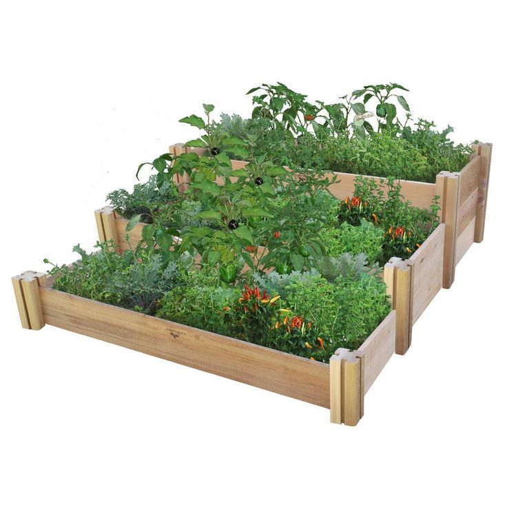 What to plant in raised bed gardens