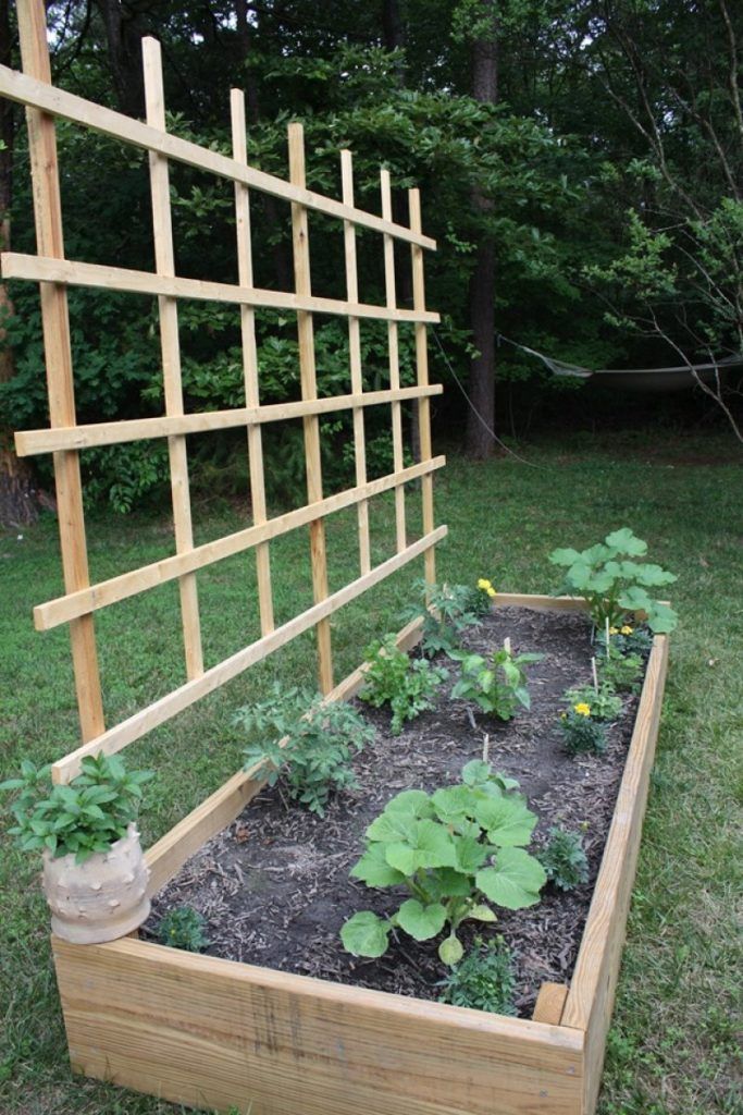 Raised vegetable garden ideas