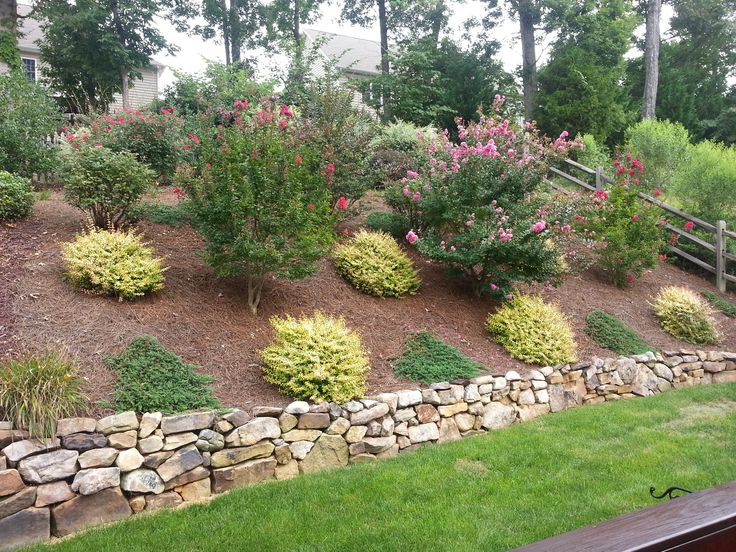 Landscaping for steep backyard