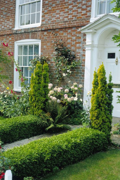 Best plants for front yards