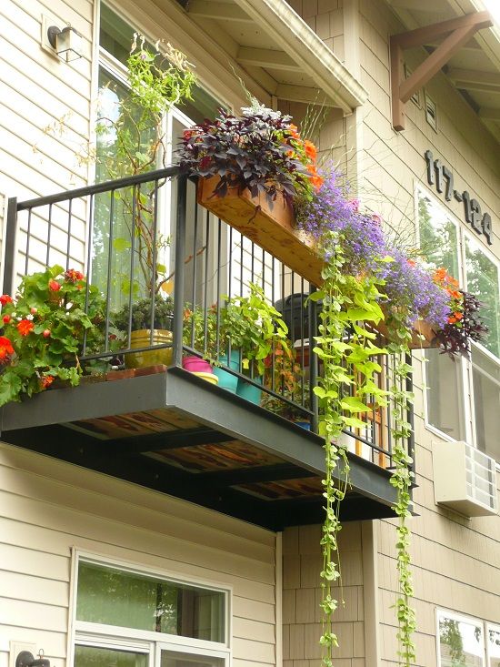 Small balcony plant ideas