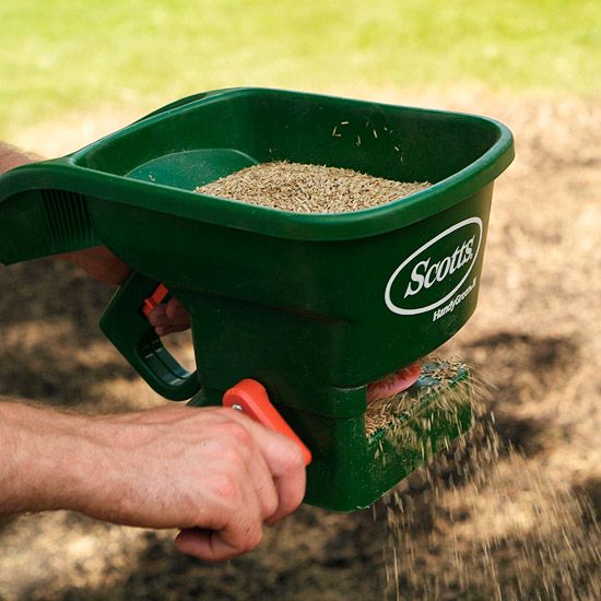 Seeding lawn grass