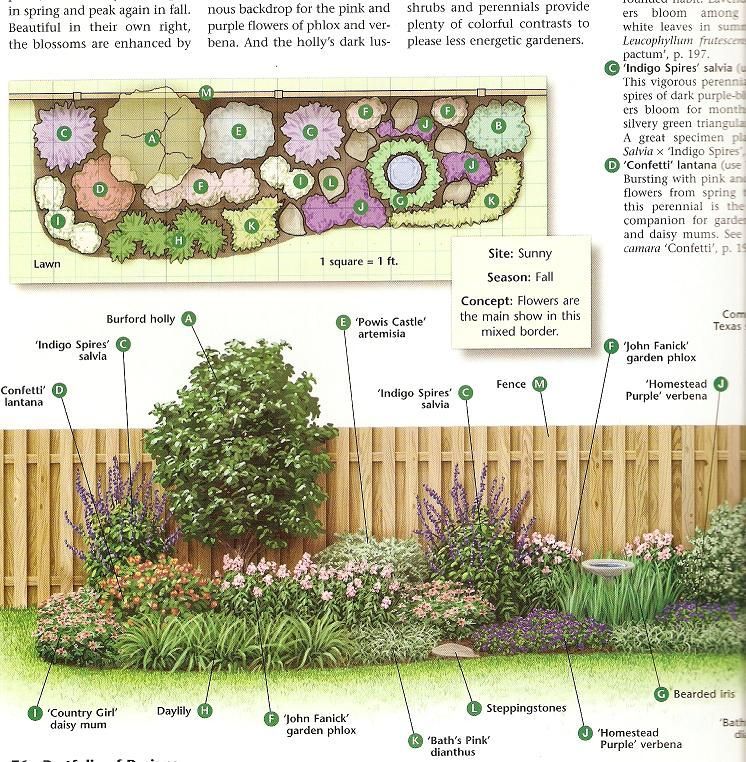 How to plant a flower bed