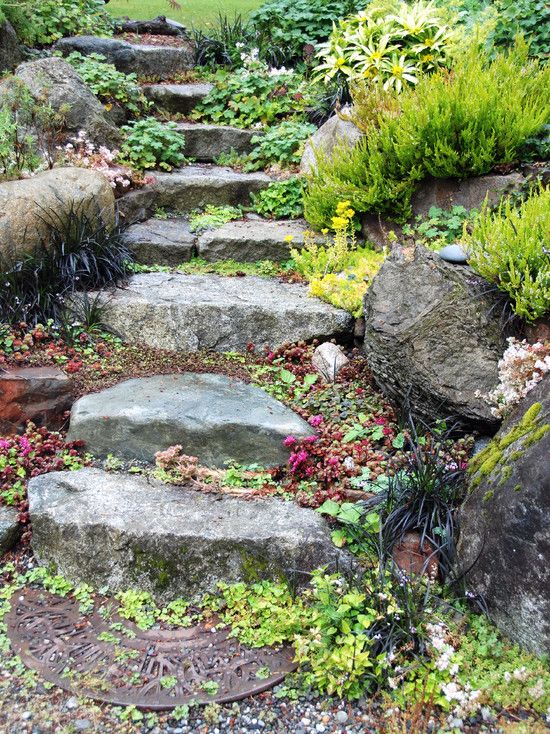 Pictures of landscaping with rocks and stones