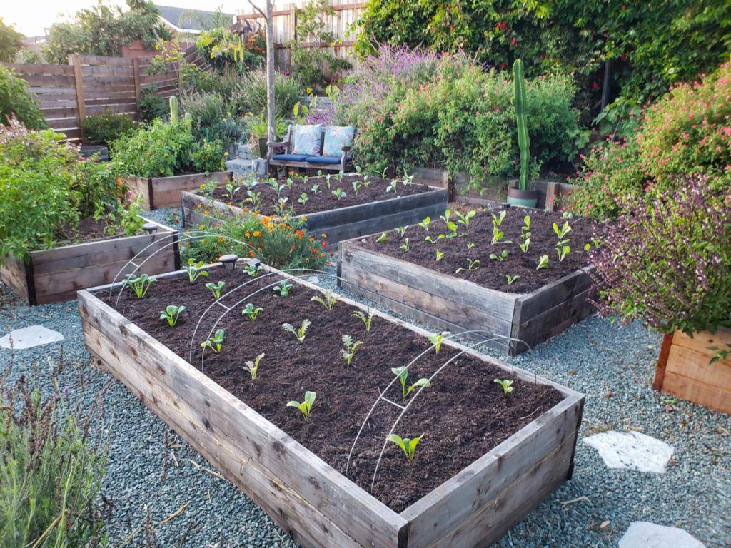 Mixing soil for raised beds