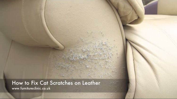 How to clean cream leather sofa