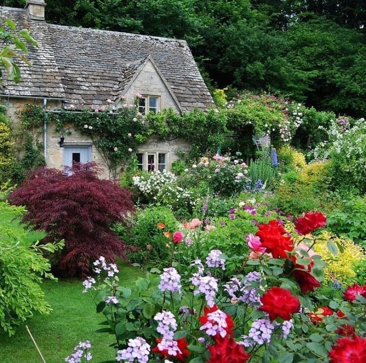 Cottage style flowers