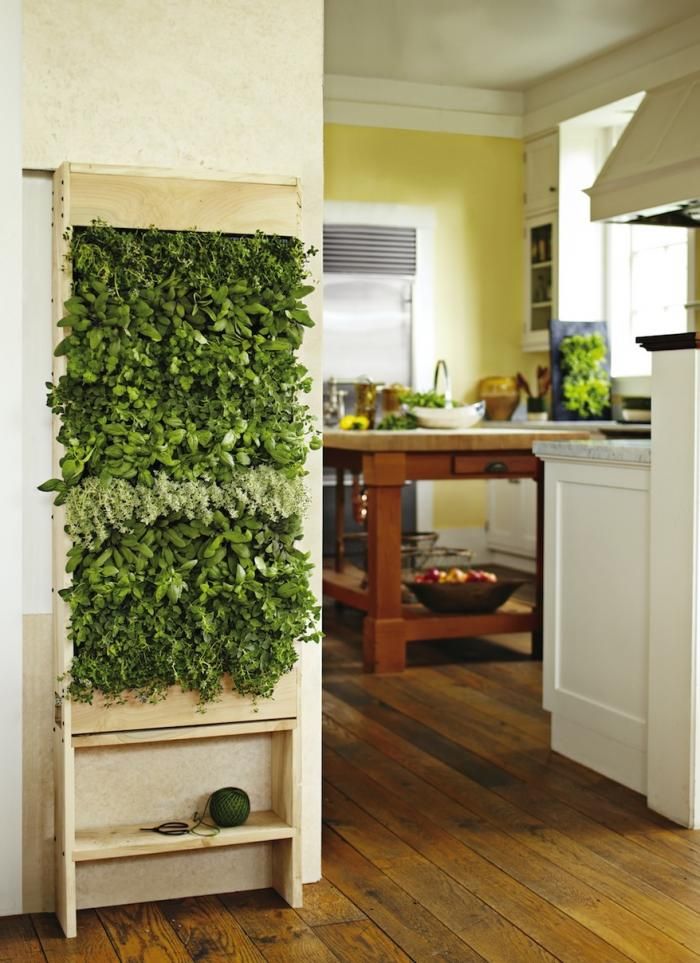 Herb garden indoor ideas