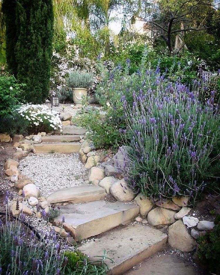 Creating a mediterranean garden