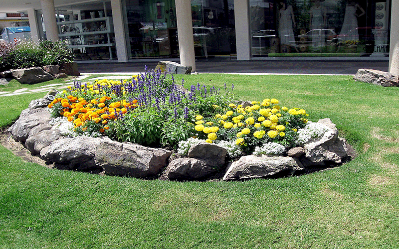 Small garden with rocks