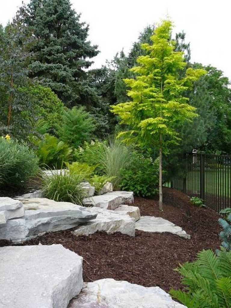 Evergreen landscape ideas