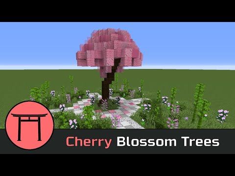 How to trim cherry blossom tree