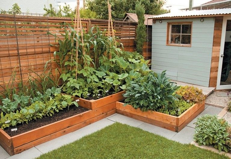 Garden food ideas