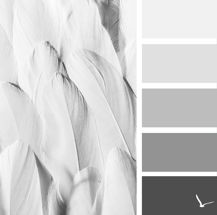 Contrasting colors for gray