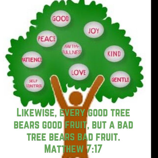 Best fruiting trees