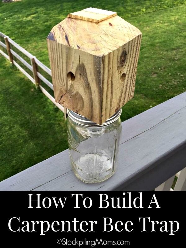 How to spray for carpenter bees