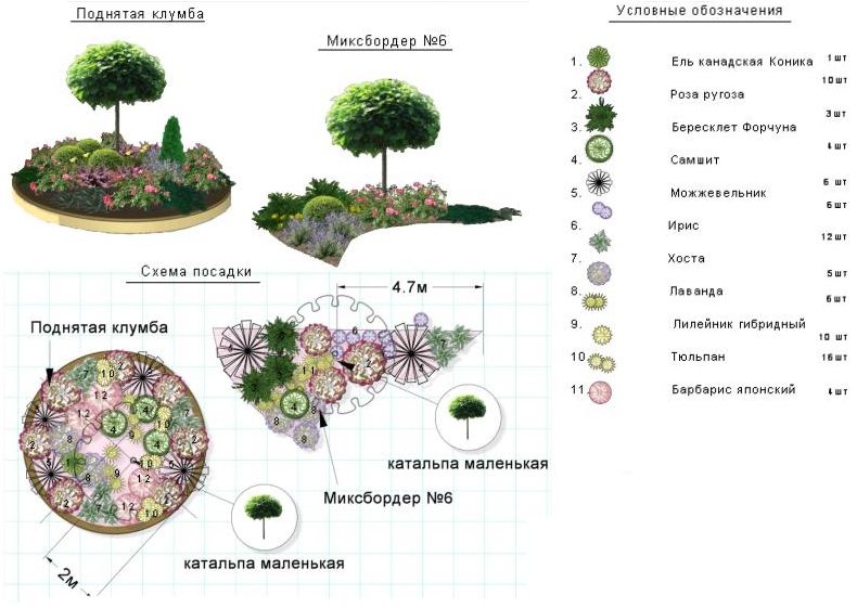 How to plan a flower garden layout