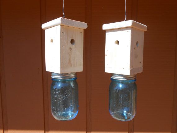 Bore bee traps