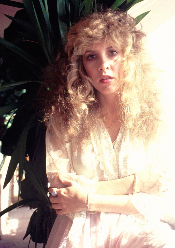 Stevie nicks homes