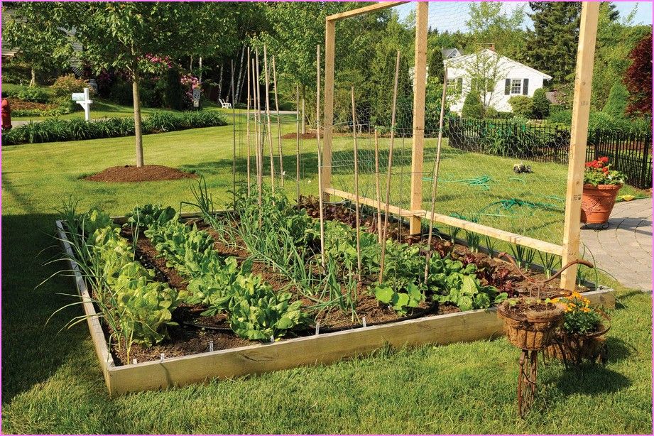 Pictures of vegetable gardens designs