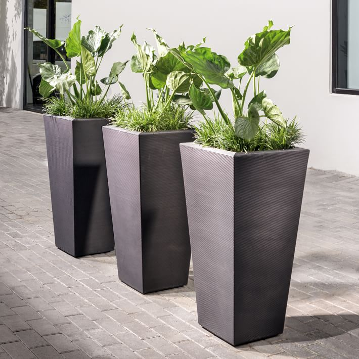 Outdoor plants in planters