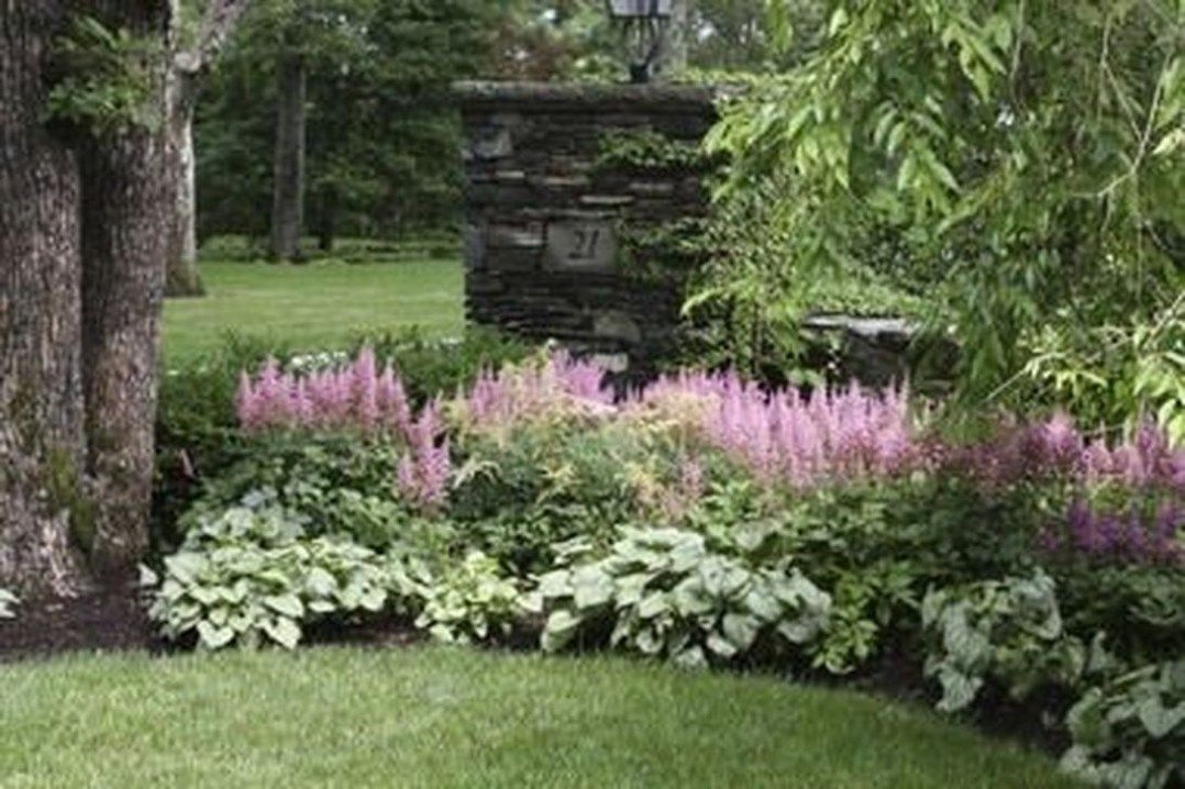 Low maintenance garden border ideas