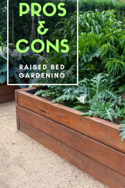 How deep should raised garden beds be