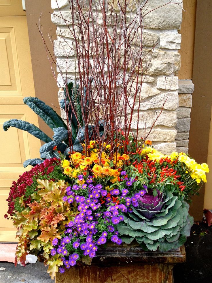 Fall flower gardens