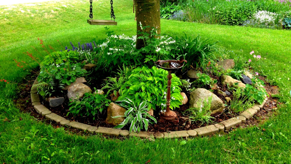 Garden designs around trees