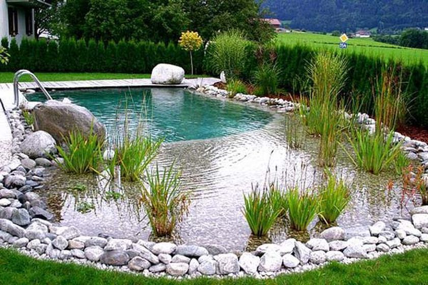 Pond swimming pool design